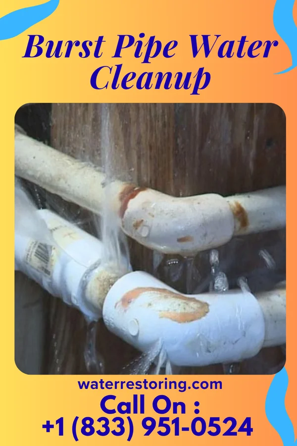 Burst Pipe Water Cleanup in Panther Valley, NJ