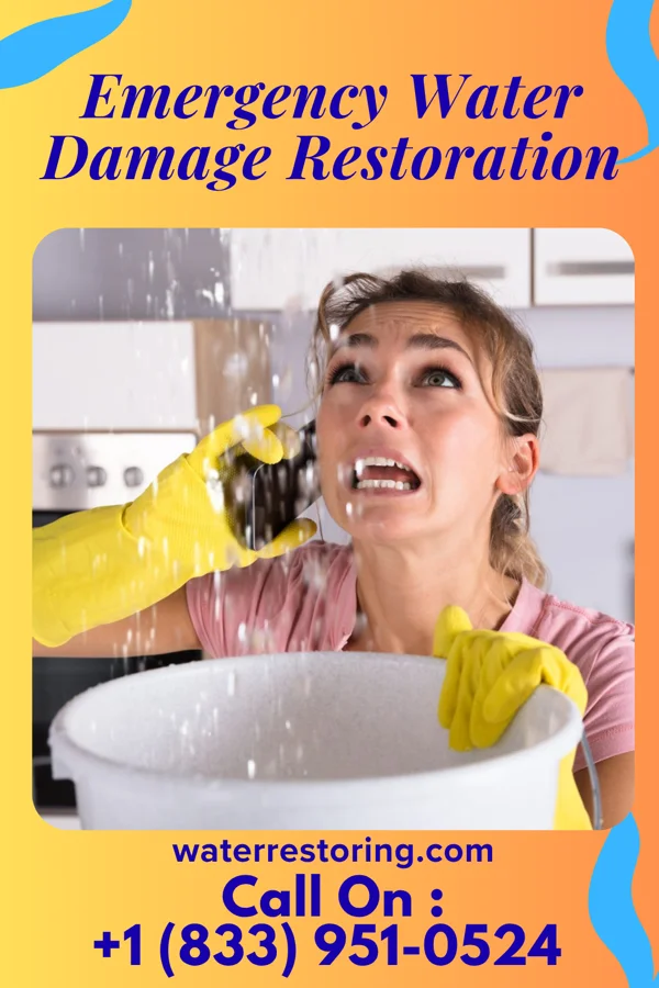 Emergency Water Damage Restoration in Panther Valley, NJ