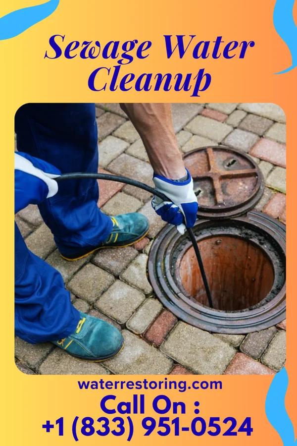 Sewage Water Cleanup in Panther Valley, NJ